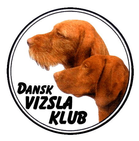 DANSK VIZSLA KLUB INVITERER TIL FAMILIEDAG