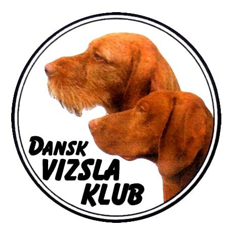 Intet planlagt pt - hold øje med siden!