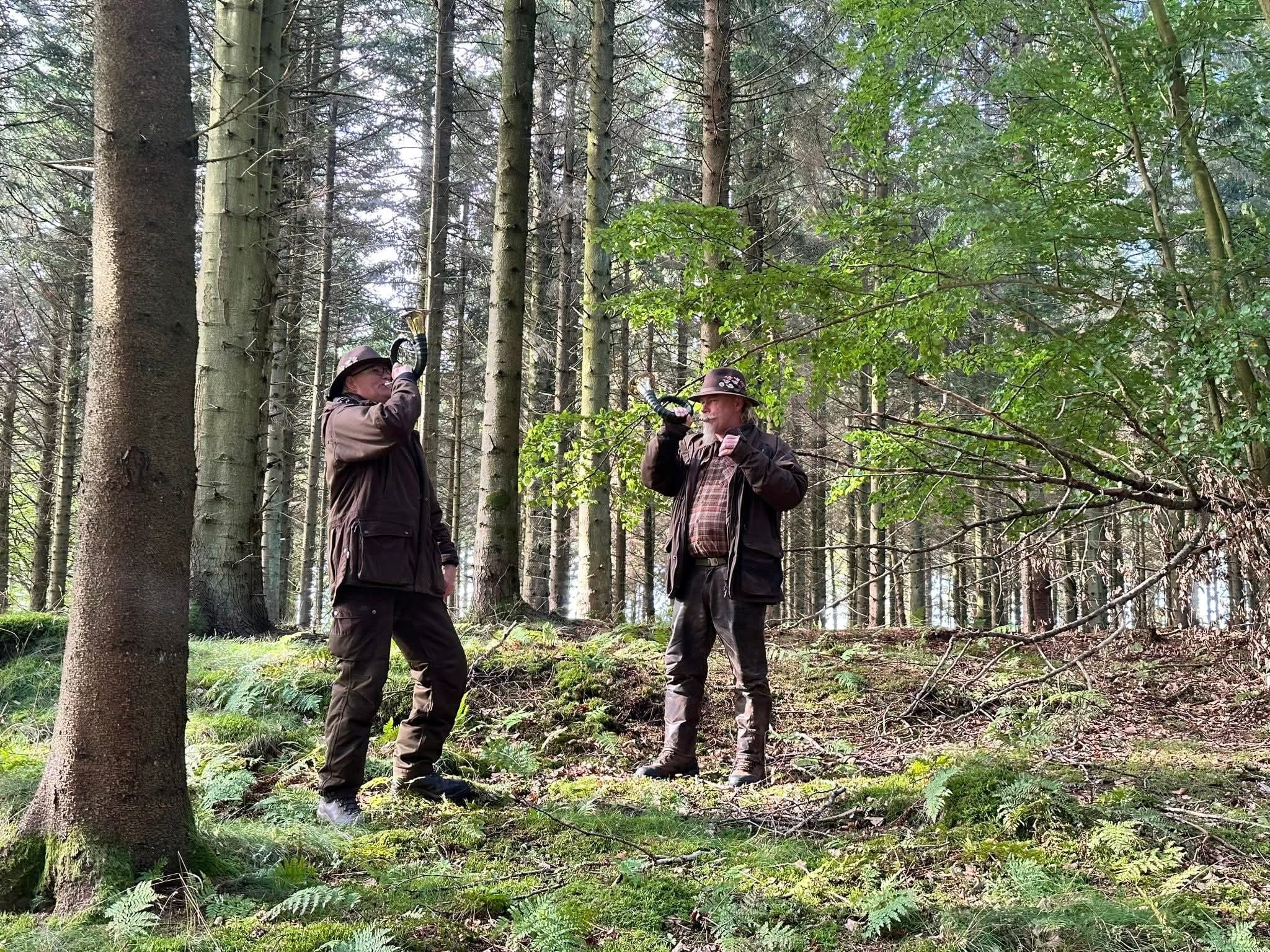 Dansk Vizsla Klub inviterer til schweissprøve