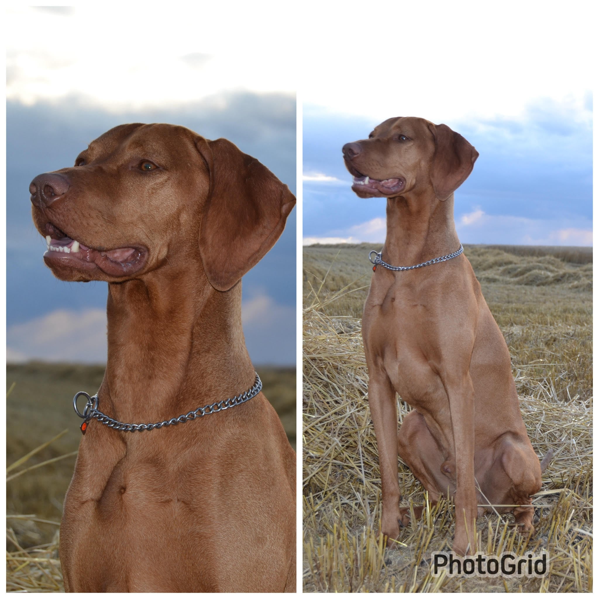  Qvistorf Ruben DK10260/2023